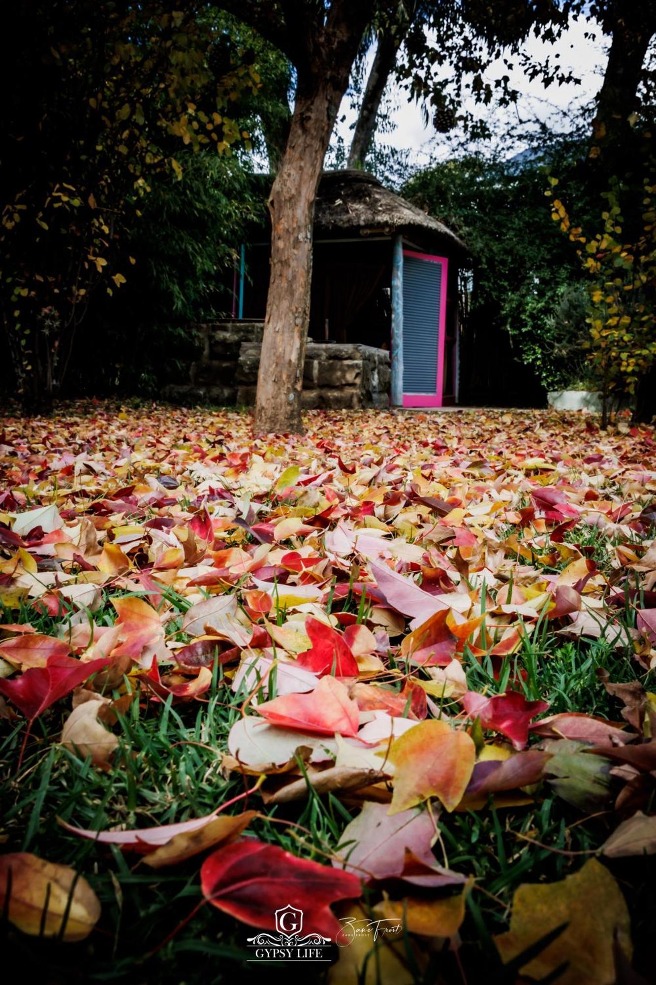 Gypsy Guest House Clarens Exteriör bild